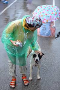 BIB: 
                            <button type="button" onclick="openModal(5745850)" class="btn btn-primary btn-sm float-right btn-popup" data-toggle="modal" data-target=".modal-high-quality">
                        <i class="fas fa-shopping-cart"></i> Add to Cart
                    </button>
                                            <button type="button" onclick="isThisMe(5745850, true)" class="btn btn-success btn-sm float-right btn-popup btn-isme hidden" data-toggle="tooltip" data-placement="bottom" title="นี่คือรูปของคุณใช่ไหม คลิกที่นี่เพื่อเอาเข้าอัลบั้ม">
                        <i class="fas fa-plus"></i> Add to album
                    </button>
                    <button type="button" onclick="isThisMe(5745850, false)" class="btn btn-warning btn-sm float-right btn-popup btn-isnotme hidden">
                        <i class="fas fa-ban"></i> Remove from album
                    </button>